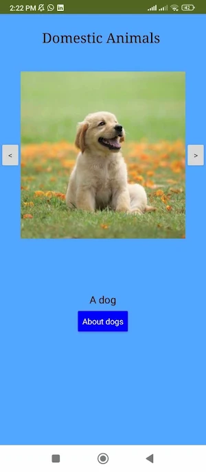 Domestic Animals Screenshot 0