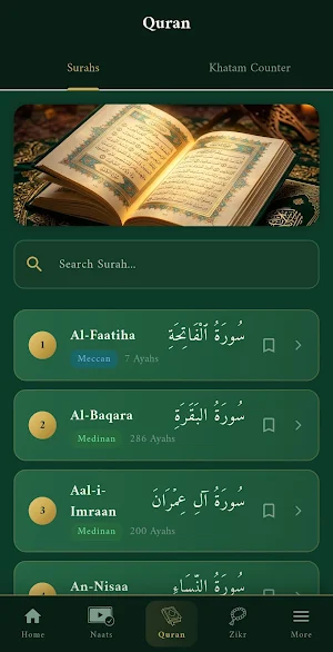 Saifi TV Screenshot 3