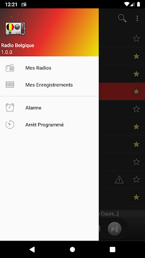 RADIO BELGIQUE : Radios belges en direct Screenshot 0