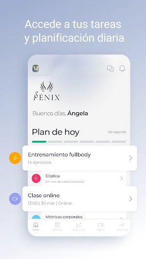 Fénix Screenshot 1